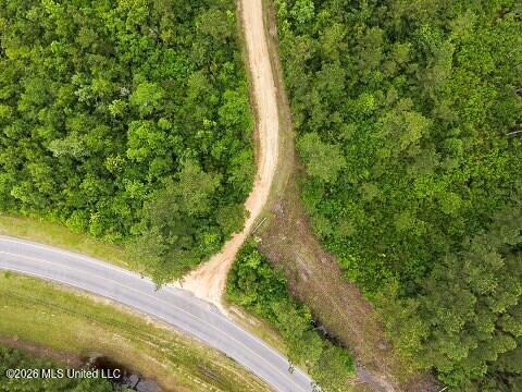 Mcneill Mchenry Road Poplarville, MS 39470 - Photo 9 of 14 9