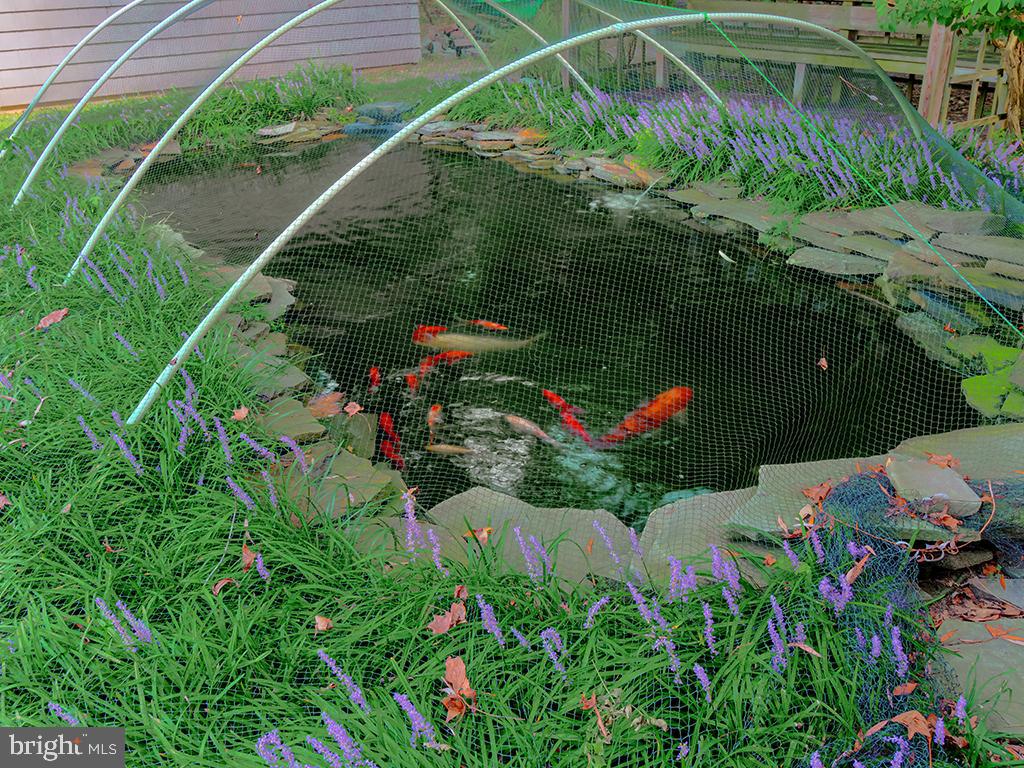 23241 Peterkins Road Georgetown, DE 19947 - Photo 42 of 43