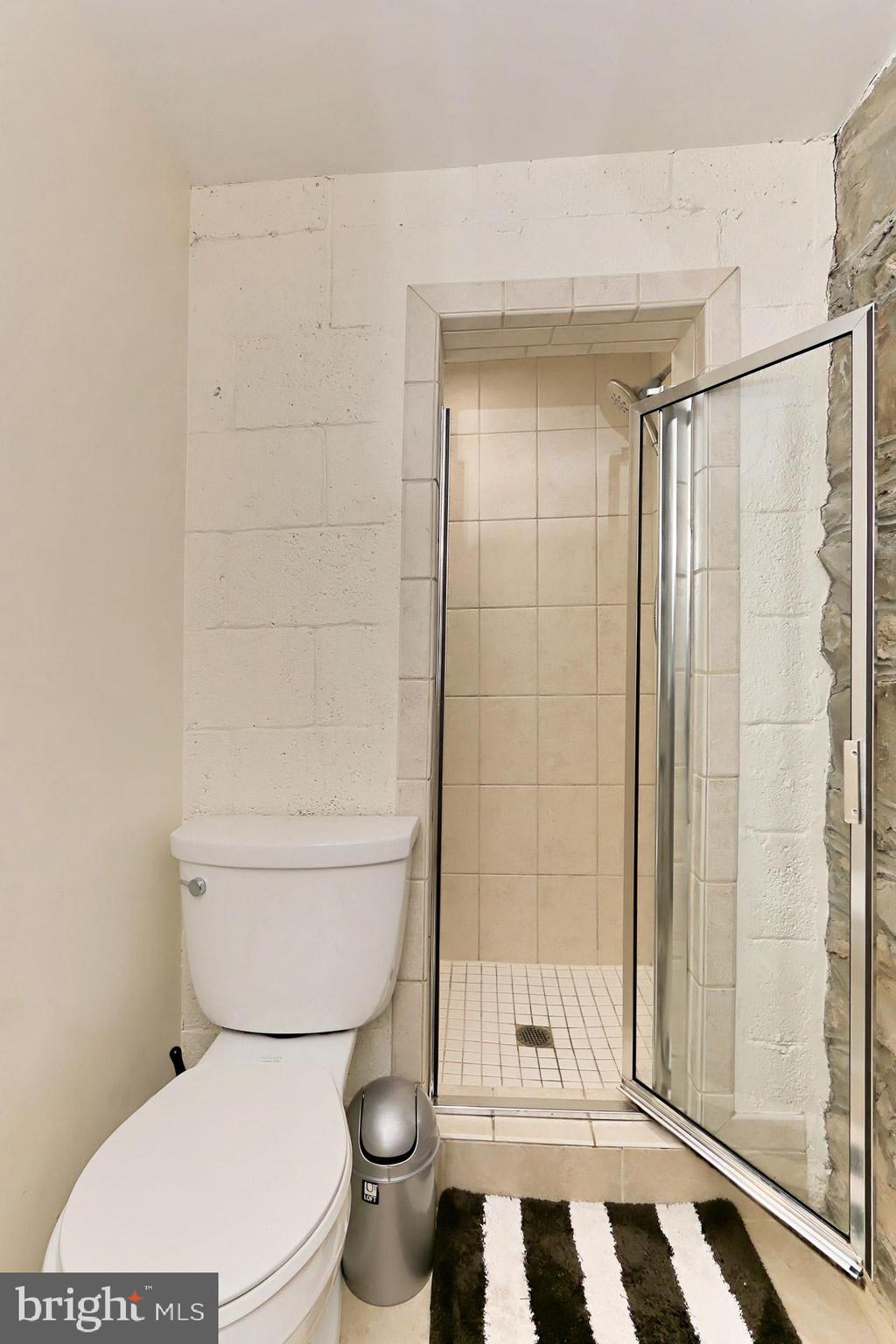 1431 Beulah Road Vienna, VA 22182 - Photo 36 of 52 Lower level full bath with shower
