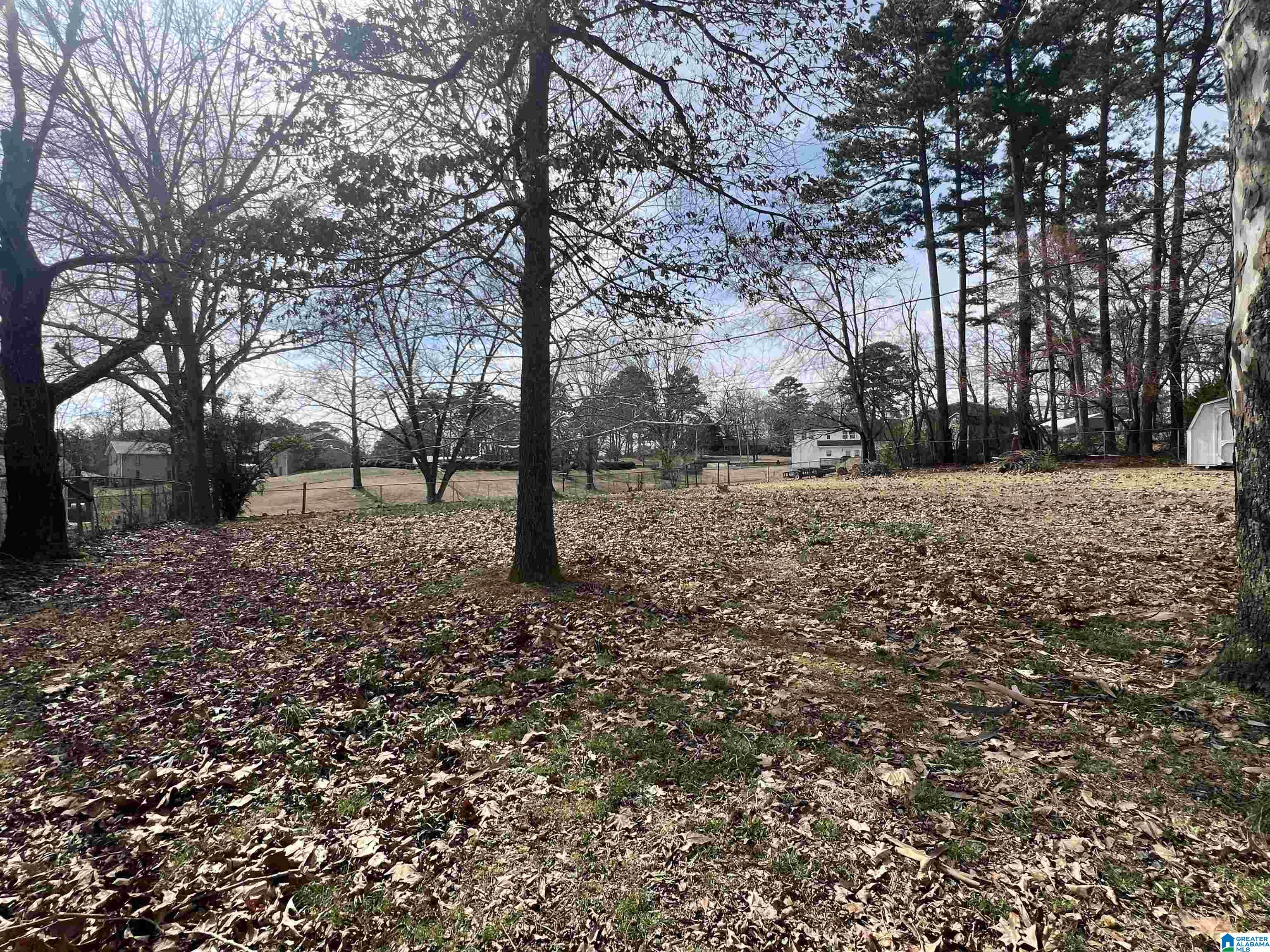5868 Tommy Town Road Mount Olive, AL 35117 - Photo 24 of 25