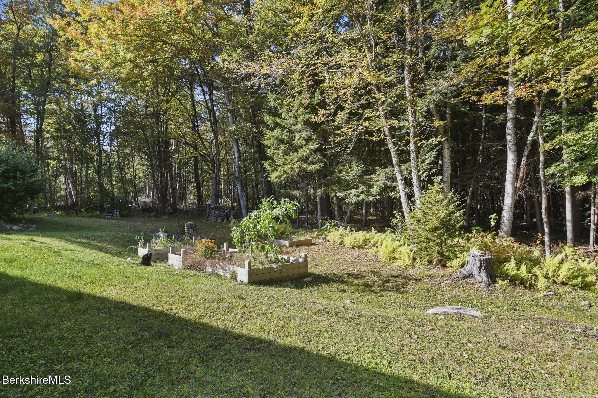 106 Stoney Brook Road Becket, MA 01223 - Photo 46 of 46 Back Yard