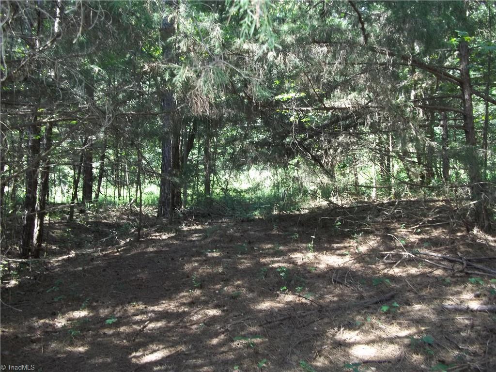 0 Clyde King Road Seagrove, NC 27341 - Photo 7 of 12 Gallery Image 7