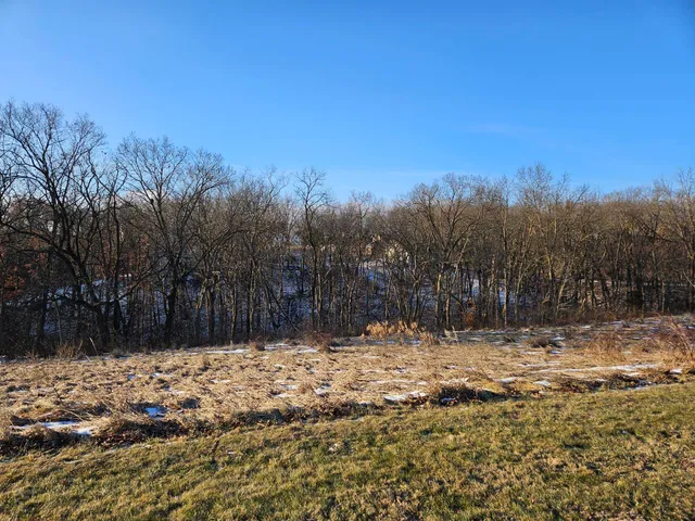 a view of backyard with tree