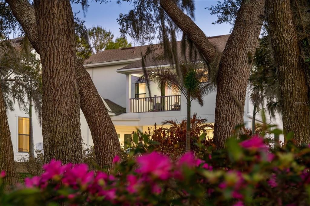 5351 Carson Street St. Cloud, FL 34771 - Photo 45 of 54