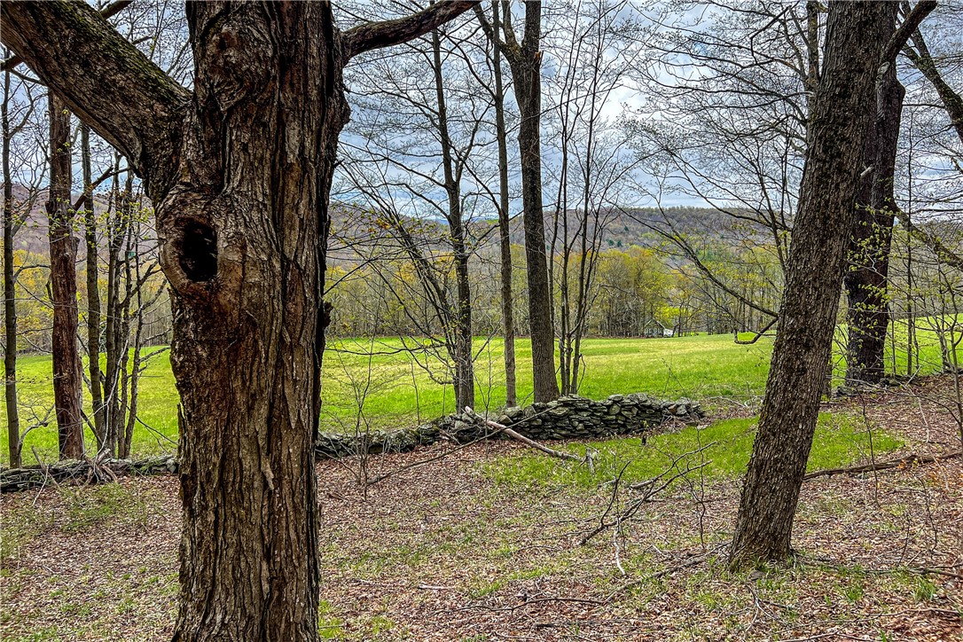 Lot 3 Brownell Road Bloomville, NY 13739 - Photo 22 of 35