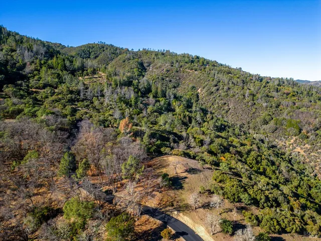 a view of a mountain range with trees in the background