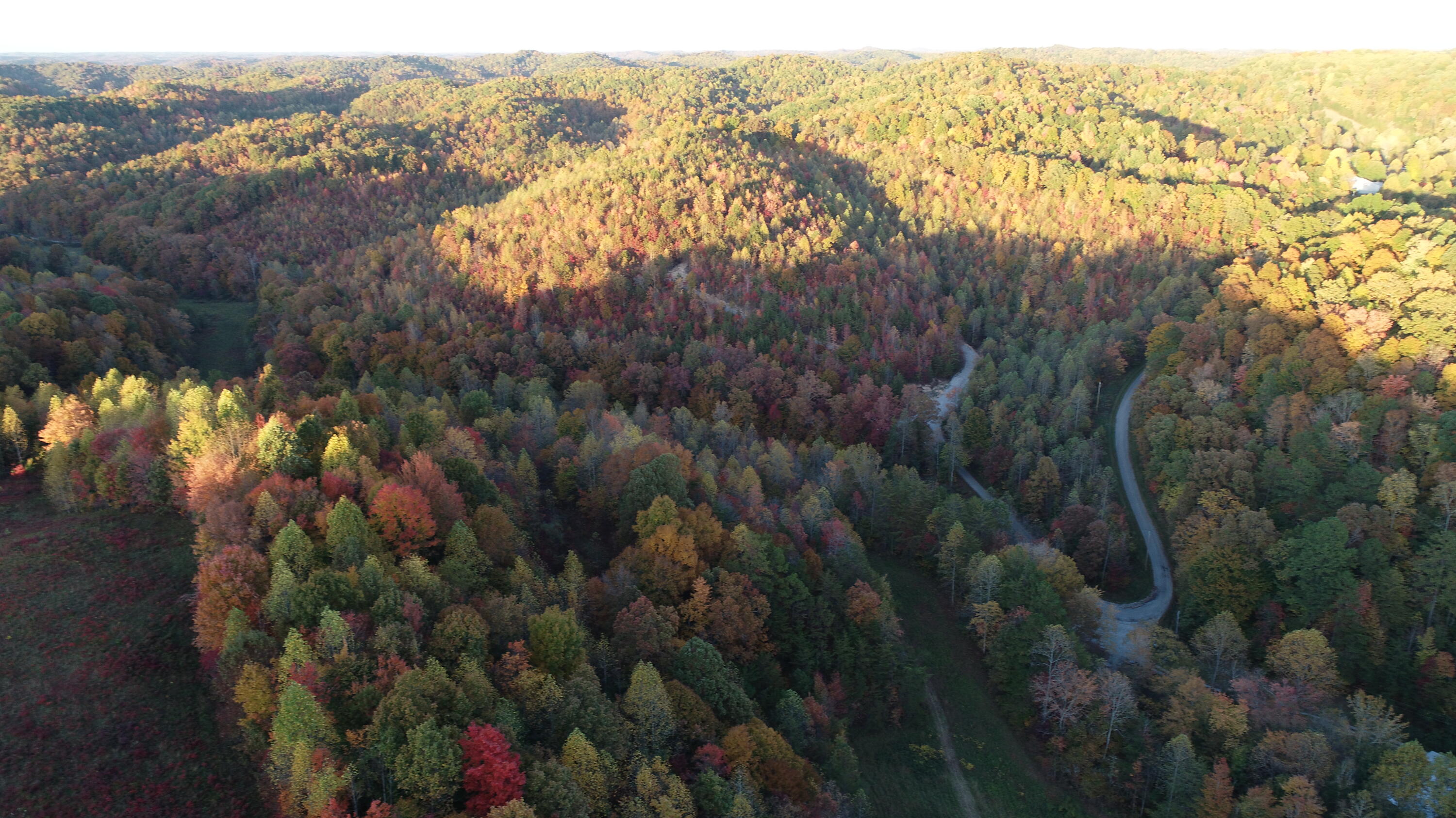 1111 Nineva Road London, KY 40741 - Photo 31 of 35 DJI_0519