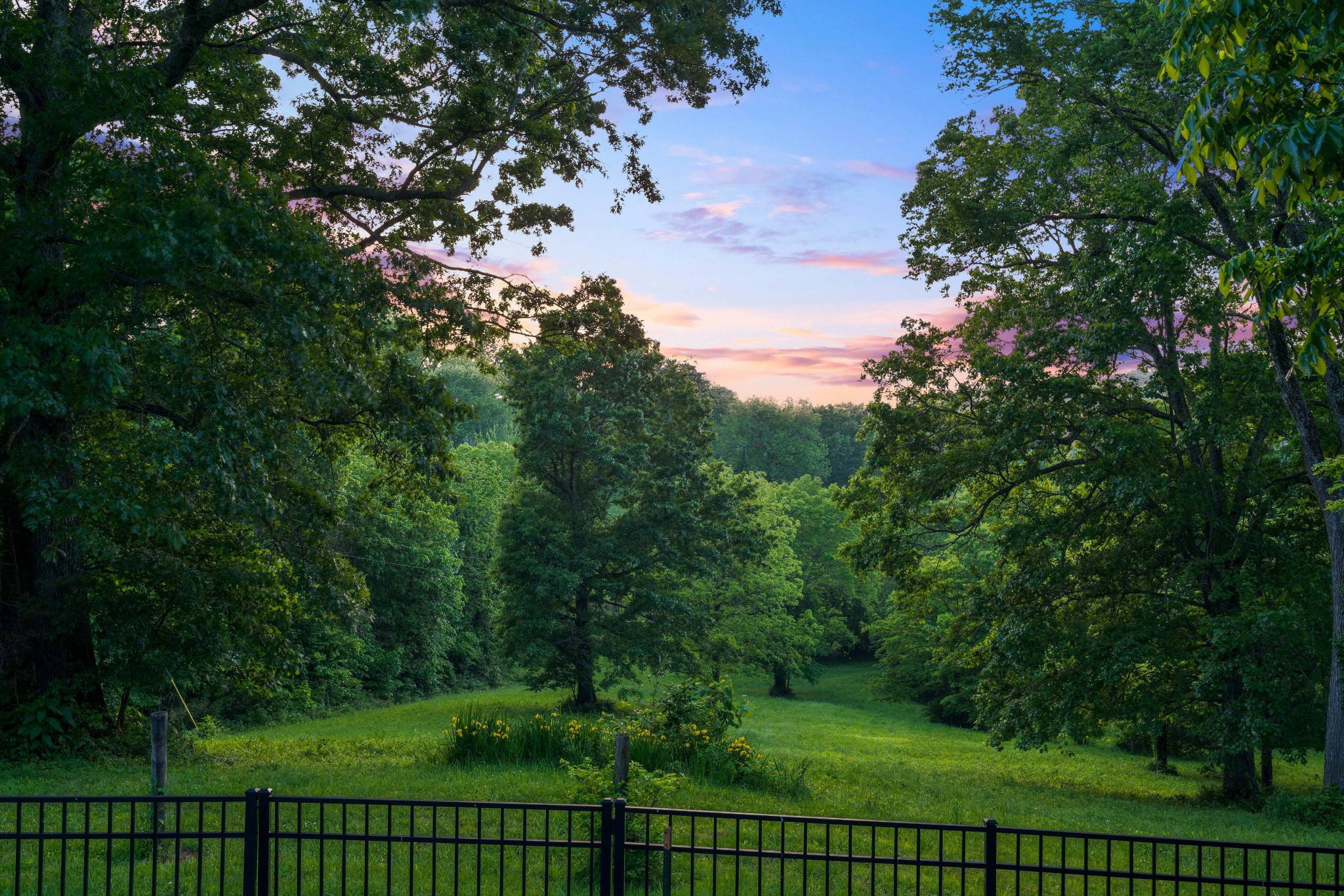 1708 Sugar Ridge Road Spring Hill, TN 37174 - Photo 69 of 70 a view of a fence