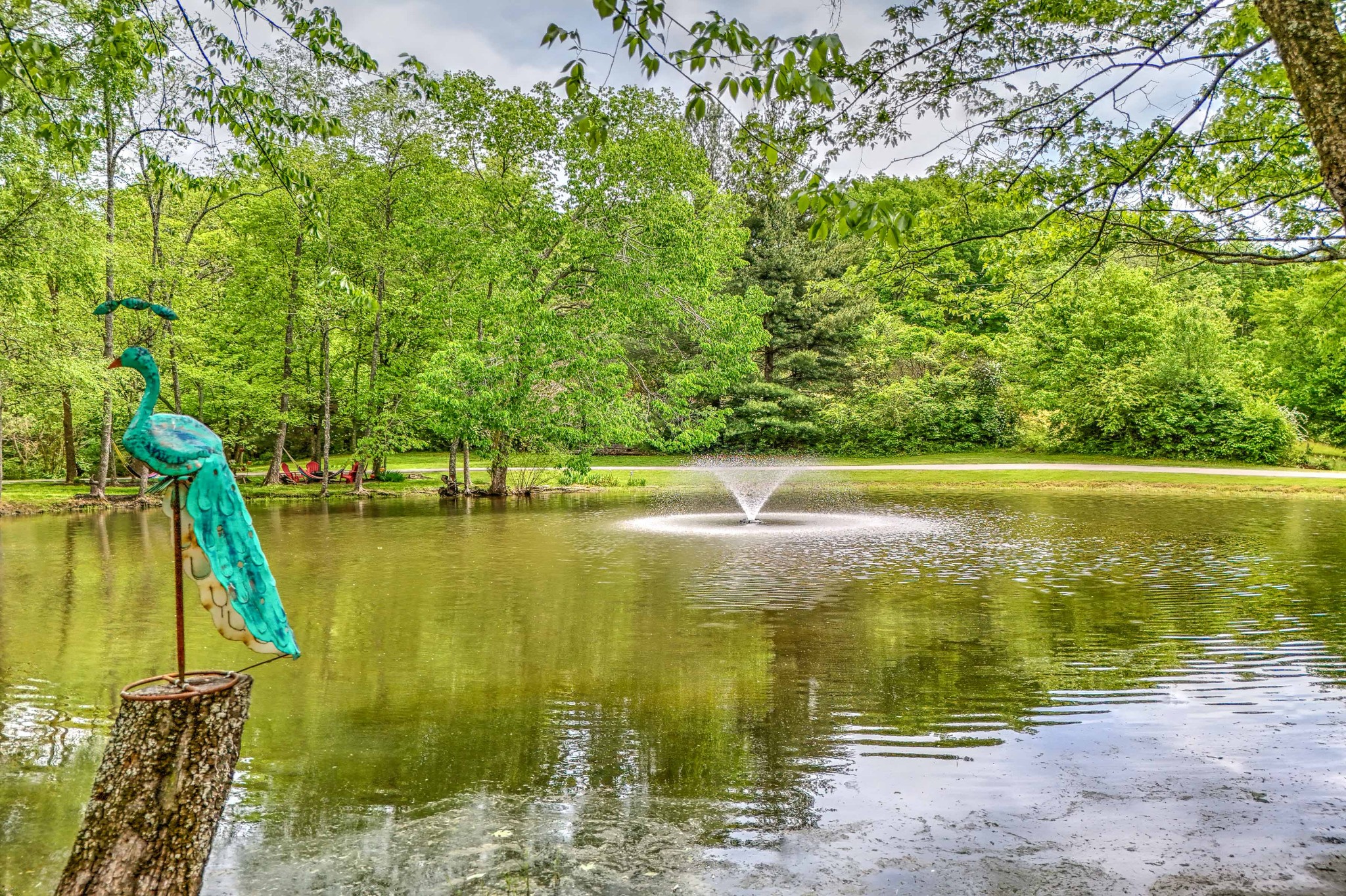 1708 Sugar Ridge Road Spring Hill, TN 37174 - Photo 10 of 70 a view of a lake with a large trees