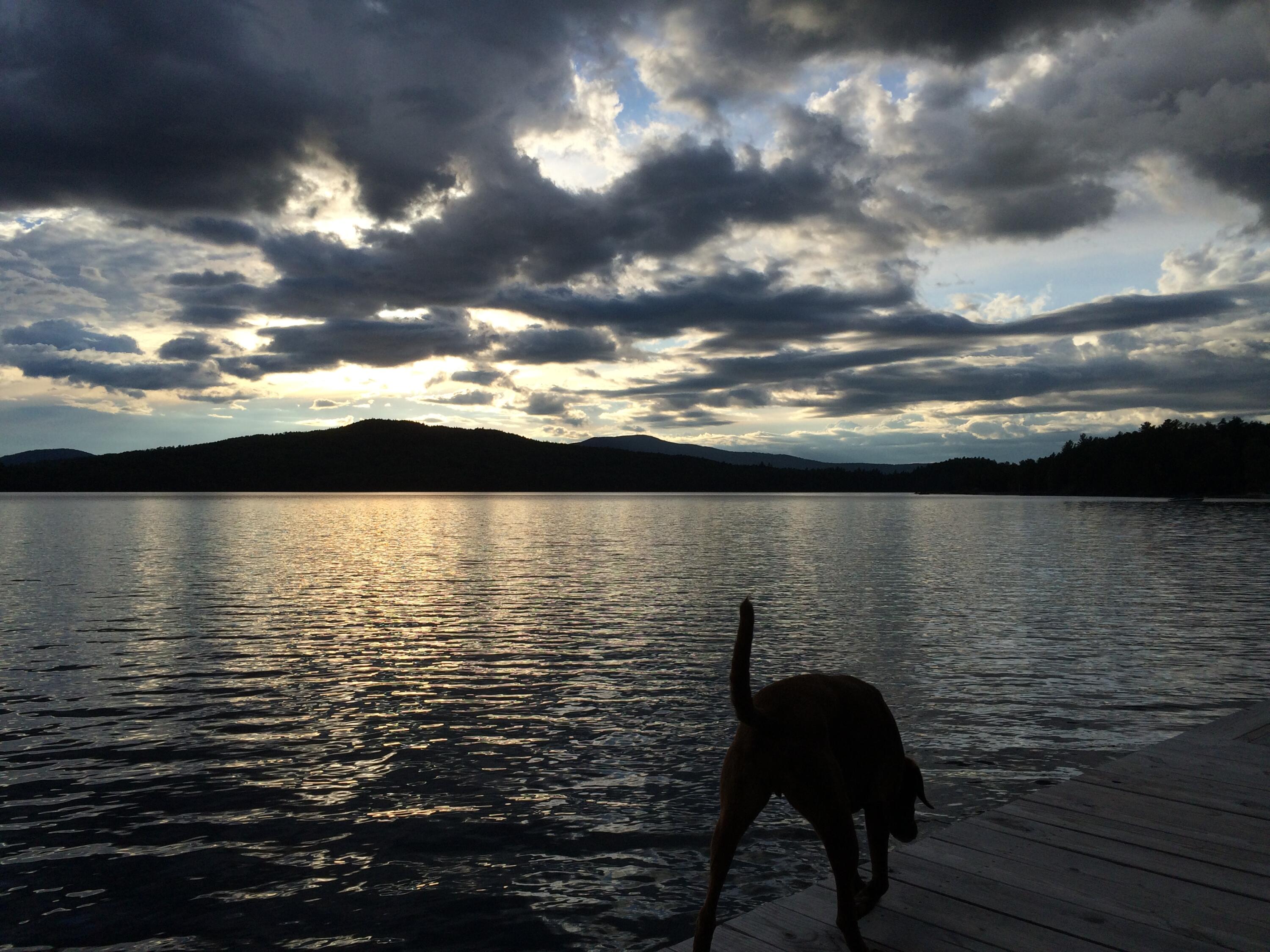 49 Bald Mountain Road Rangeley, ME 04964 - Photo 44 of 45 Dock with dog