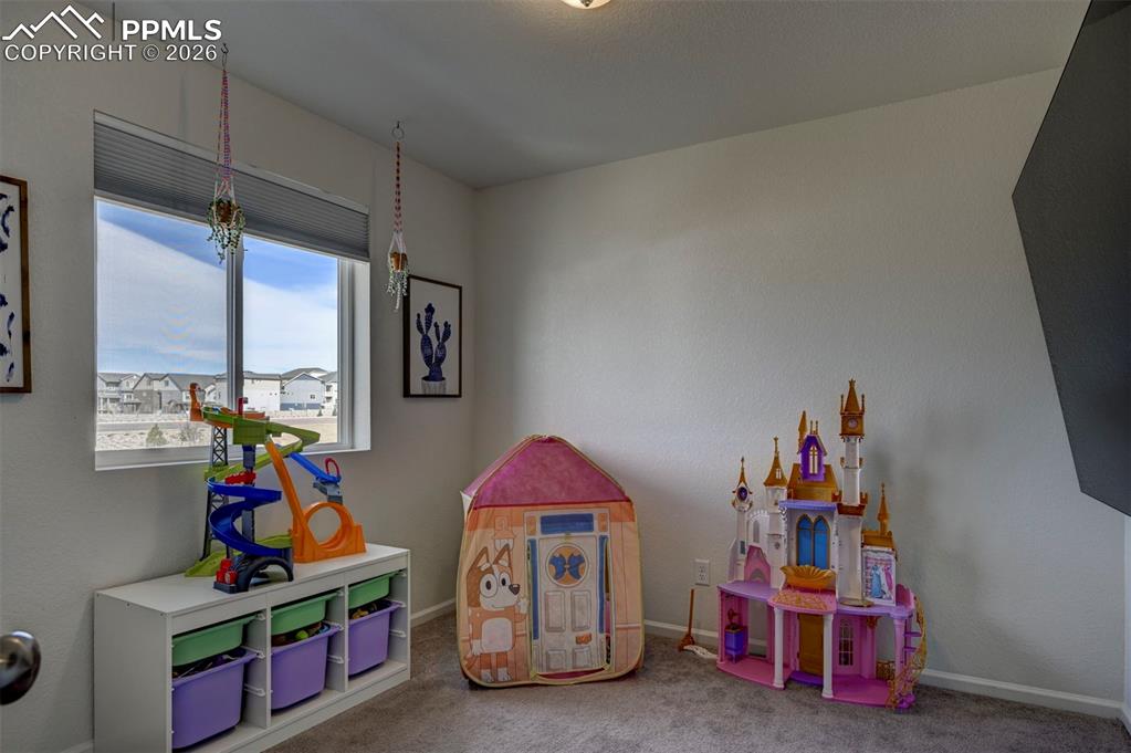 5832 Dakan Loop Colorado Springs, CO 80927 - Photo 17 of 26