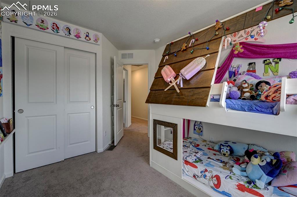 5832 Dakan Loop Colorado Springs, CO 80927 - Photo 20 of 26