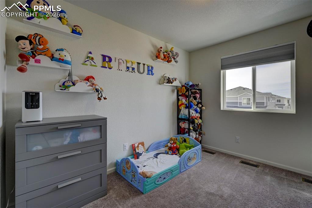 5832 Dakan Loop Colorado Springs, CO 80927 - Photo 21 of 26