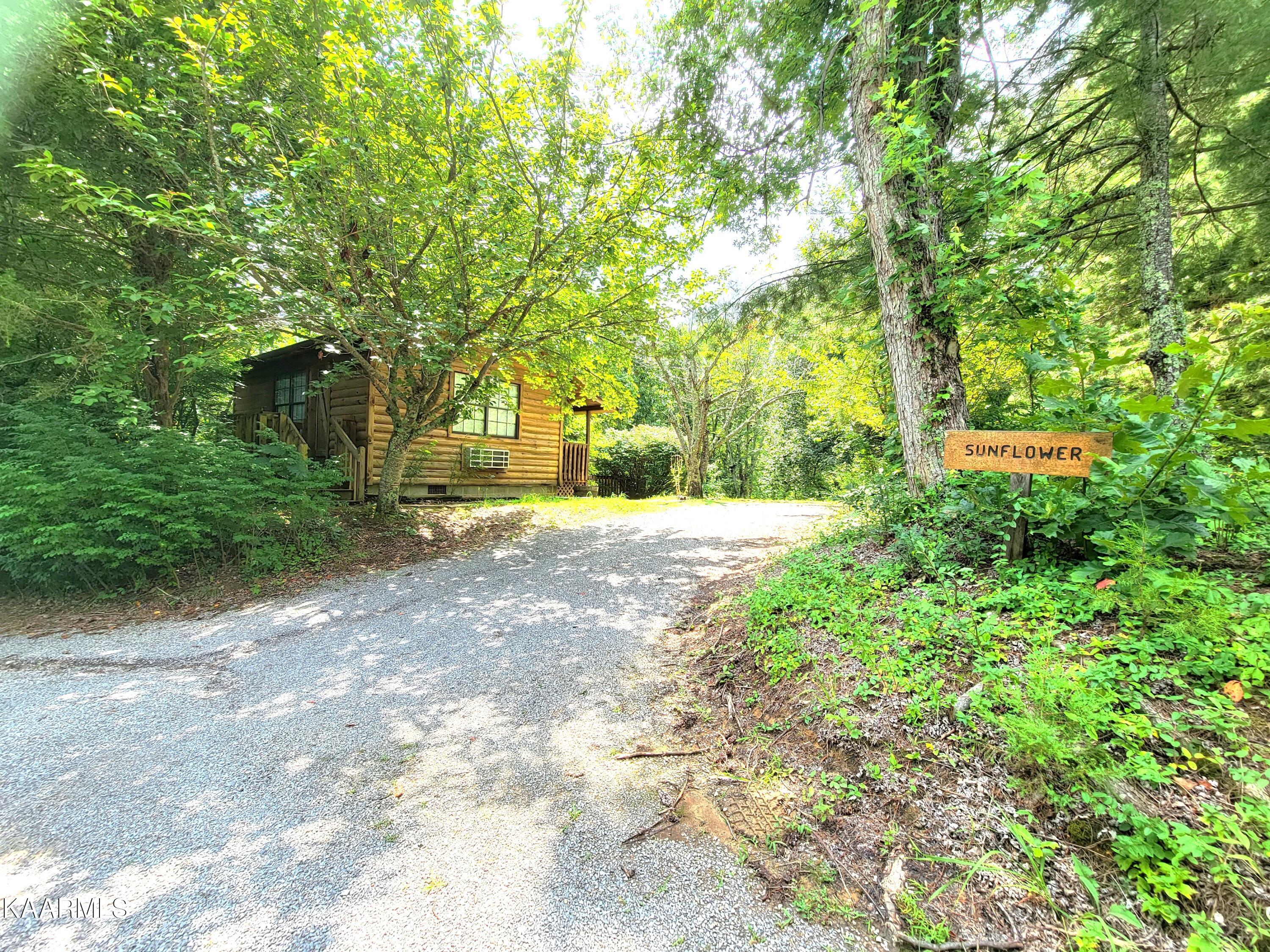 3786 Thomas Cross Road Sevierville, TN 37876 - Photo 31 of 50 Sunflower