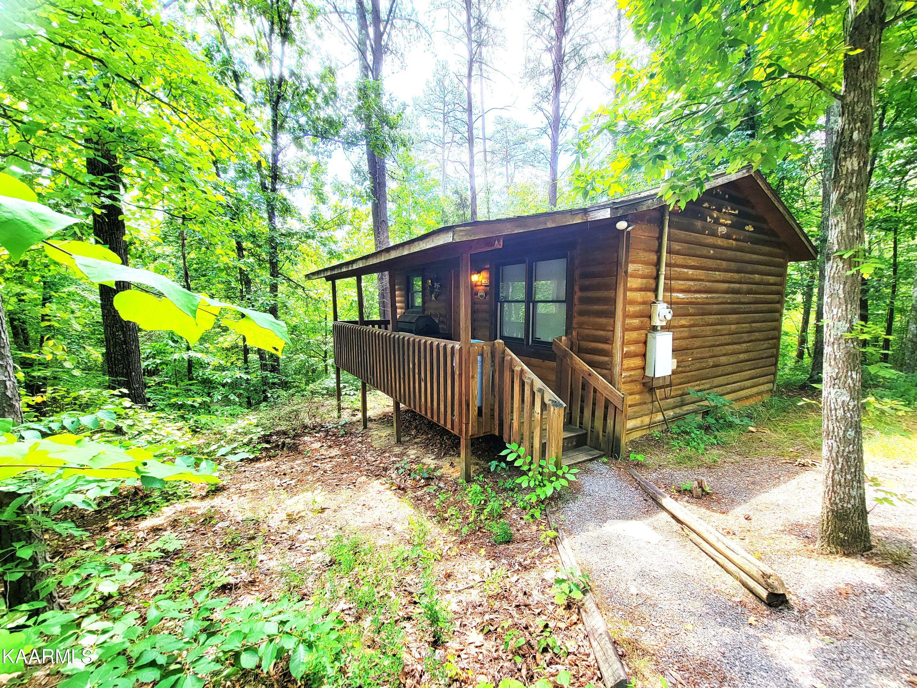 3786 Thomas Cross Road Sevierville, TN 37876 - Photo 41 of 50 Zinnia3