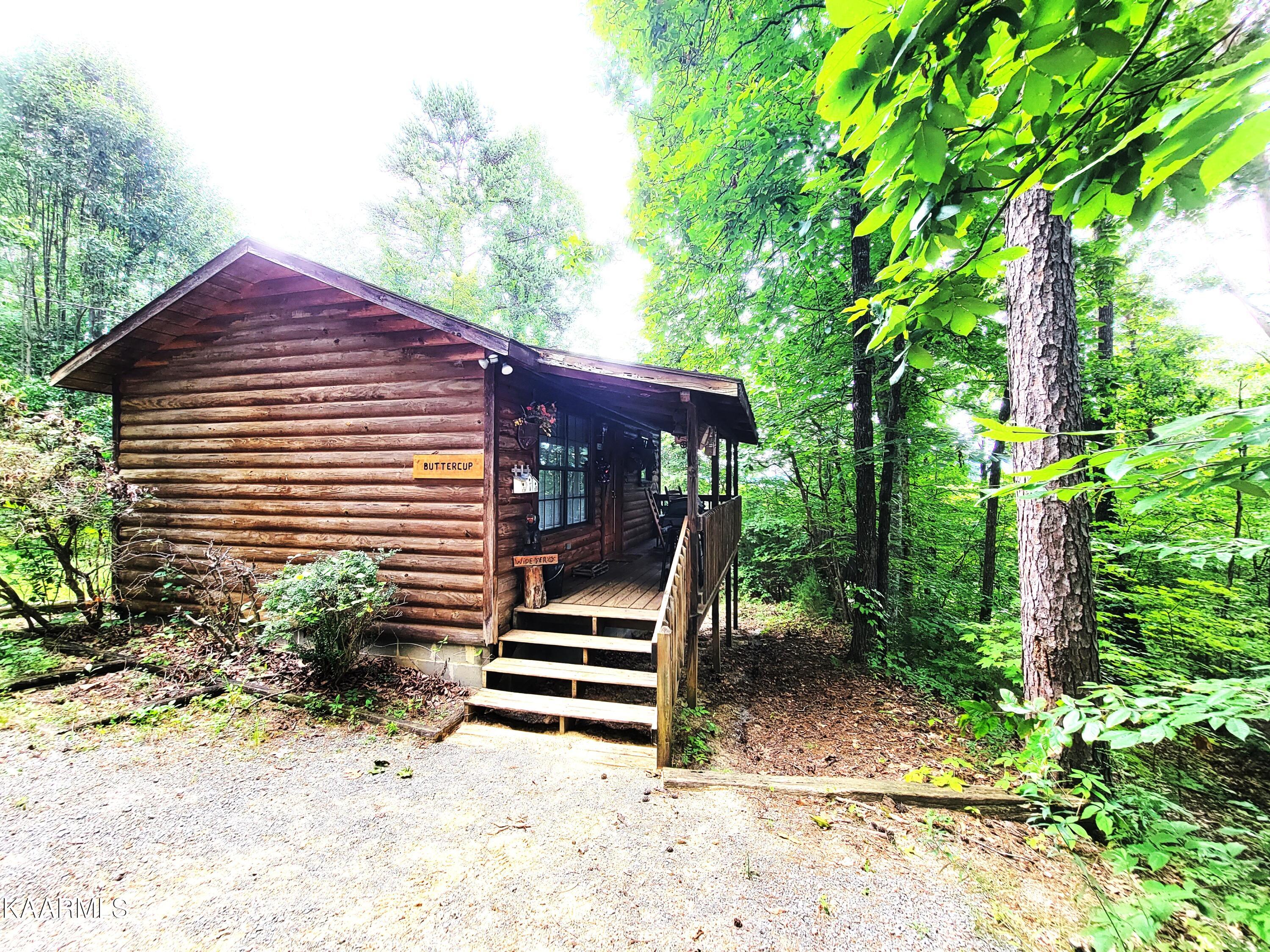3786 Thomas Cross Road Sevierville, TN 37876 - Photo 9 of 50 Buttercup
