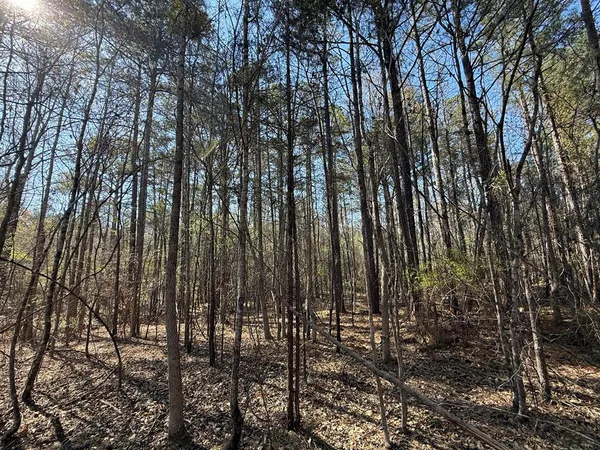 $69,000 | 0 Markham Road, Bradley, SC 29819