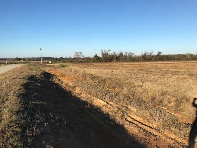 0 West Co Road Headland, AL 36345 - Photo 1 of 1