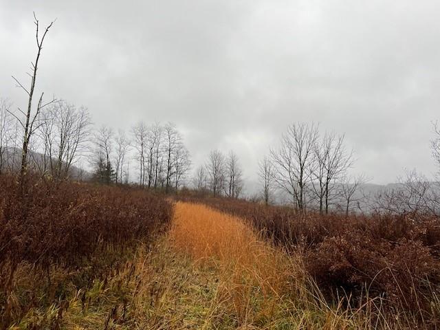 232 Fort Hill Road Markleton, PA 15551 - Photo 19 of 27 Gallery Image 19