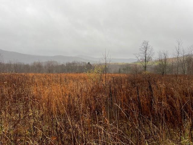 232 Fort Hill Road Markleton, PA 15551 - Photo 23 of 27 Gallery Image 23
