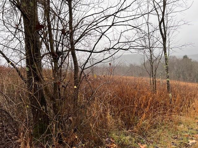 232 Fort Hill Road Markleton, PA 15551 - Photo 25 of 27 Gallery Image 25