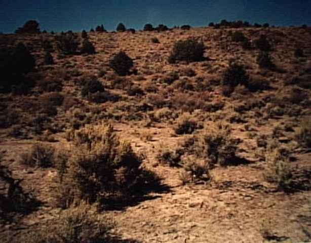 3320 Lousetown Road Reno, NV 89521 - Photo 1 of 1