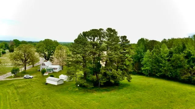 a view of garden with trees