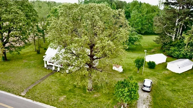 a view of a garden with a lake