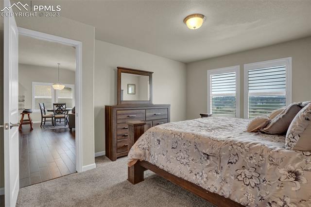 11339 Rill Point Colorado Springs, CO 80921 - Photo 20 of 35