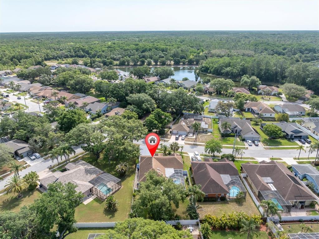 4851 Deer Lodge Road New Port Richey, FL 34655 - Photo 10 of 44 Gallery Image 10