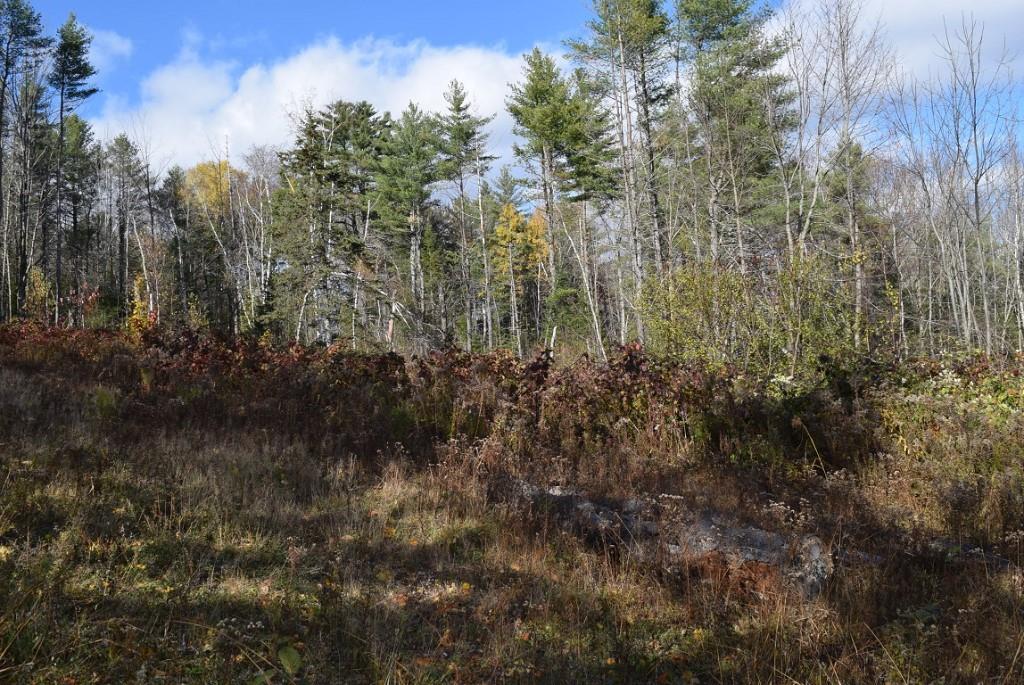 0 Lee Road Lincoln, ME 04457 - Photo 3 of 5 Many years ago there was a quarry on...