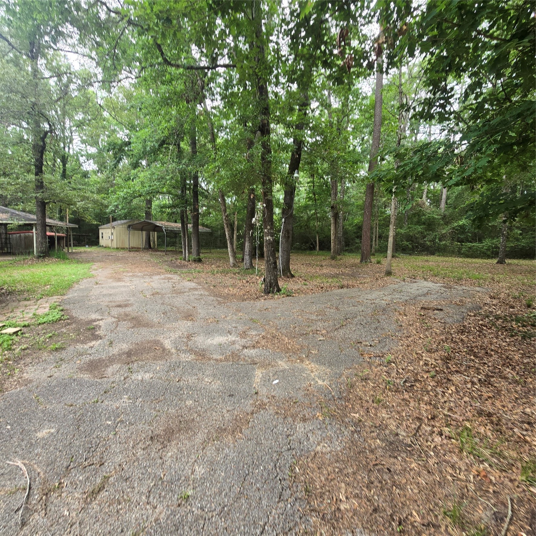 910 Ragsdale Springs Road Shepherd, TX 77371 - Photo 28 of 32