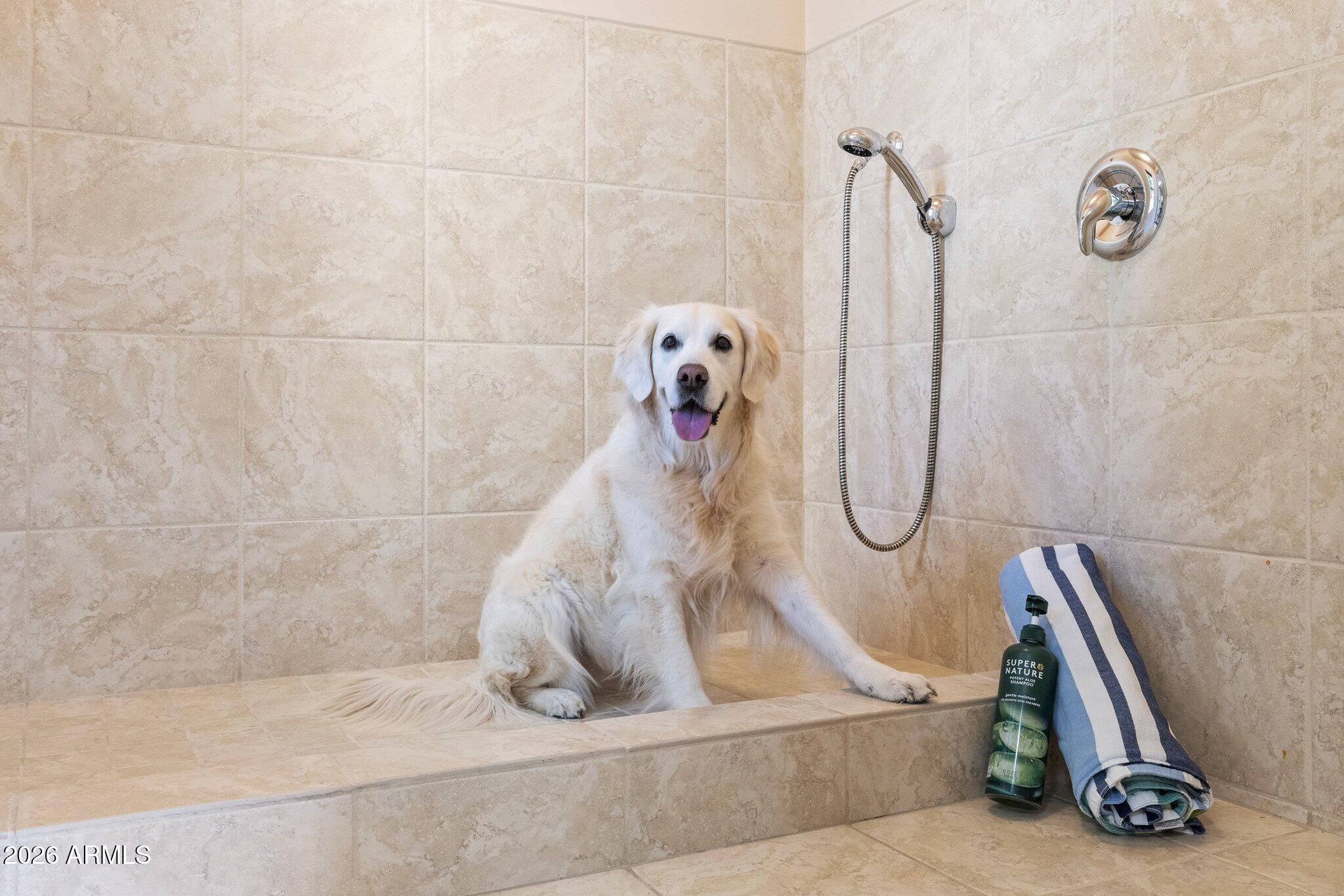 4252 North Diamond Point Mesa, AZ 85207 - Photo 104 of 130 Diamond Point Las Sendas