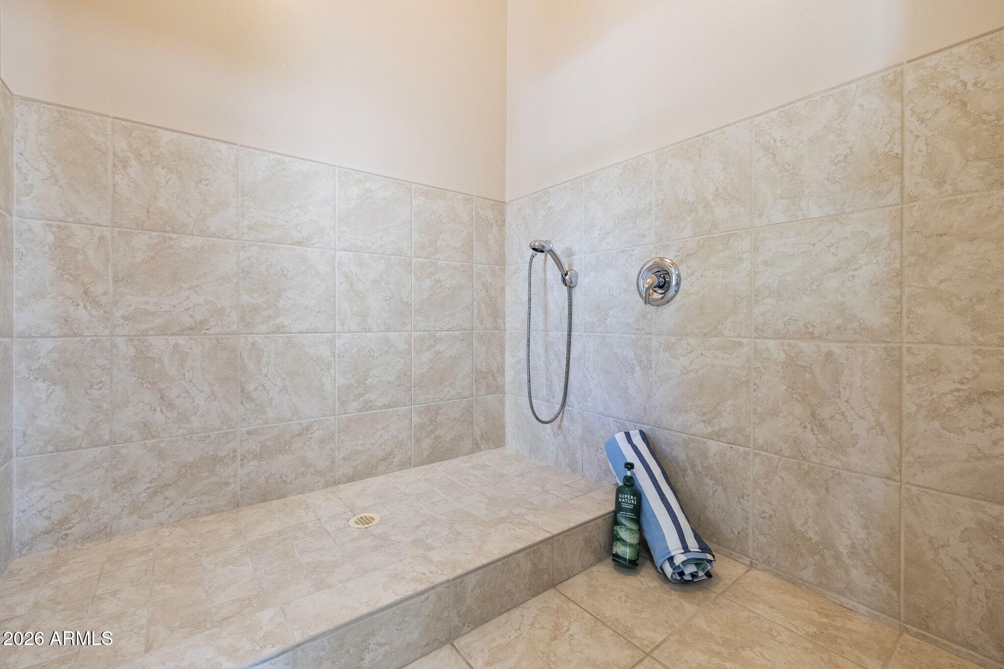 4252 North Diamond Point Mesa, AZ 85207 - Photo 105 of 130 Diamond Point Las Sendas