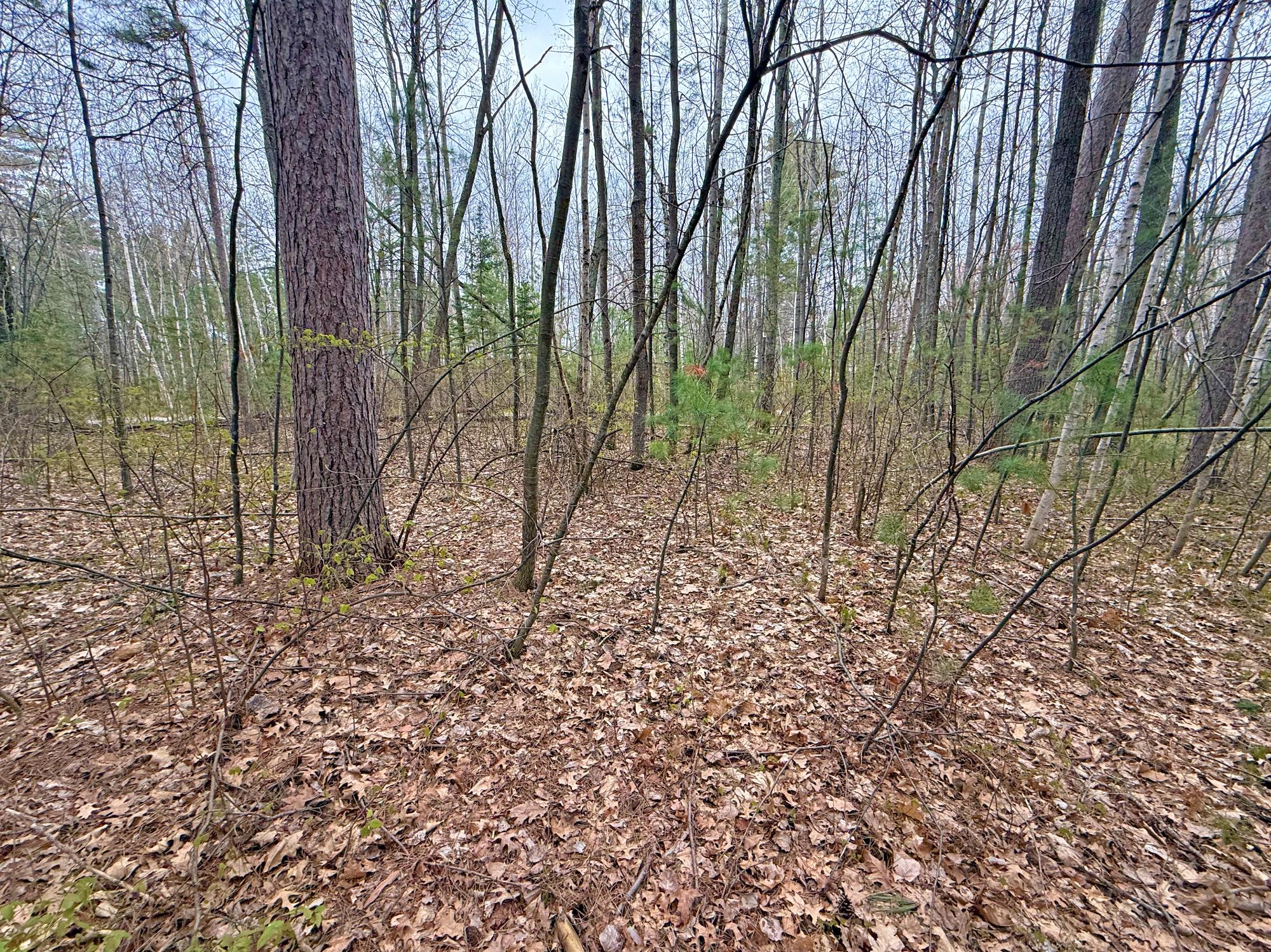 W5319 Stonewood Road Tomahawk, WI 54487 - Photo 13 of 14 Gallery Image 13