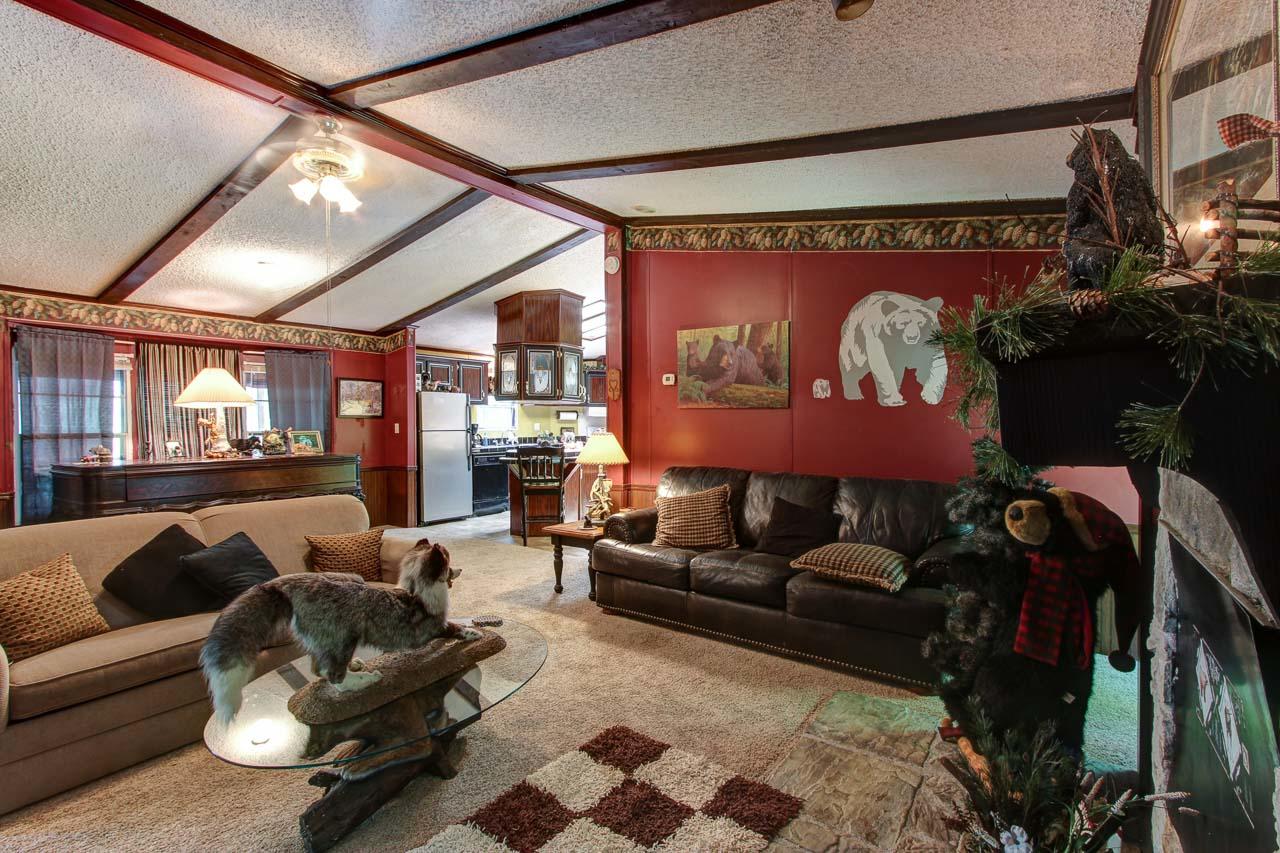 979 Gnatty Branch Road Pigeon Forge, TN 37876 - Photo 4 of 37 04