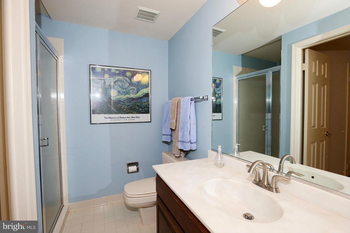 8014 Rising Ridge Road Bethesda, MD 20817 - Photo 17 of 21 Lower Level