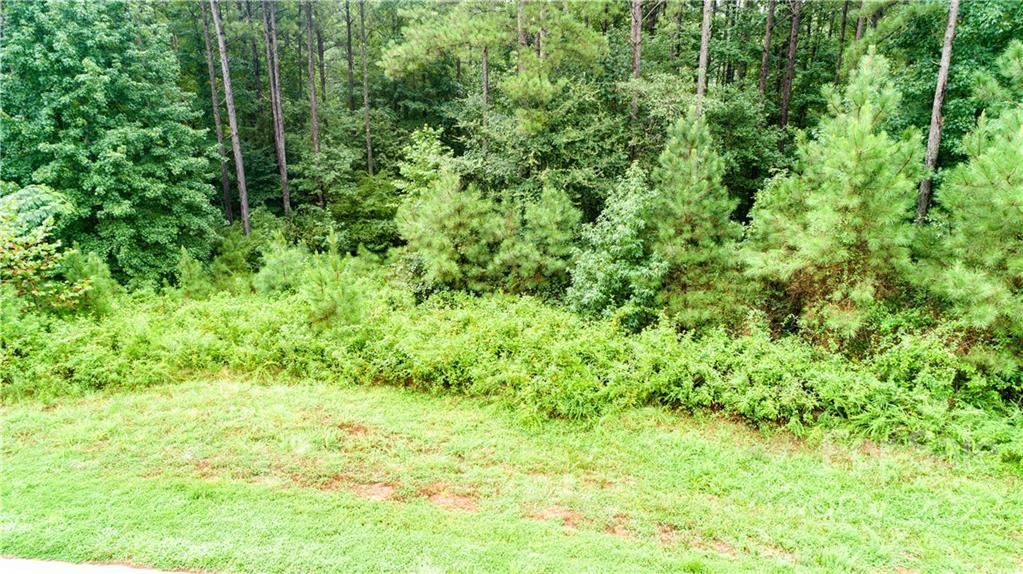 6113 Chimney Bluff Road, Unit 5 Lancaster, SC 29720 - Photo 4 of 20 Gallery Image 4