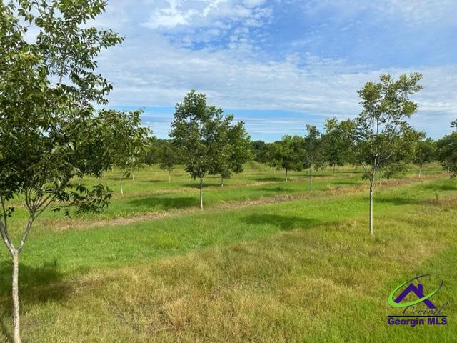 Henderson Springs Road Elko, GA 31025 - Photo 20 of 24