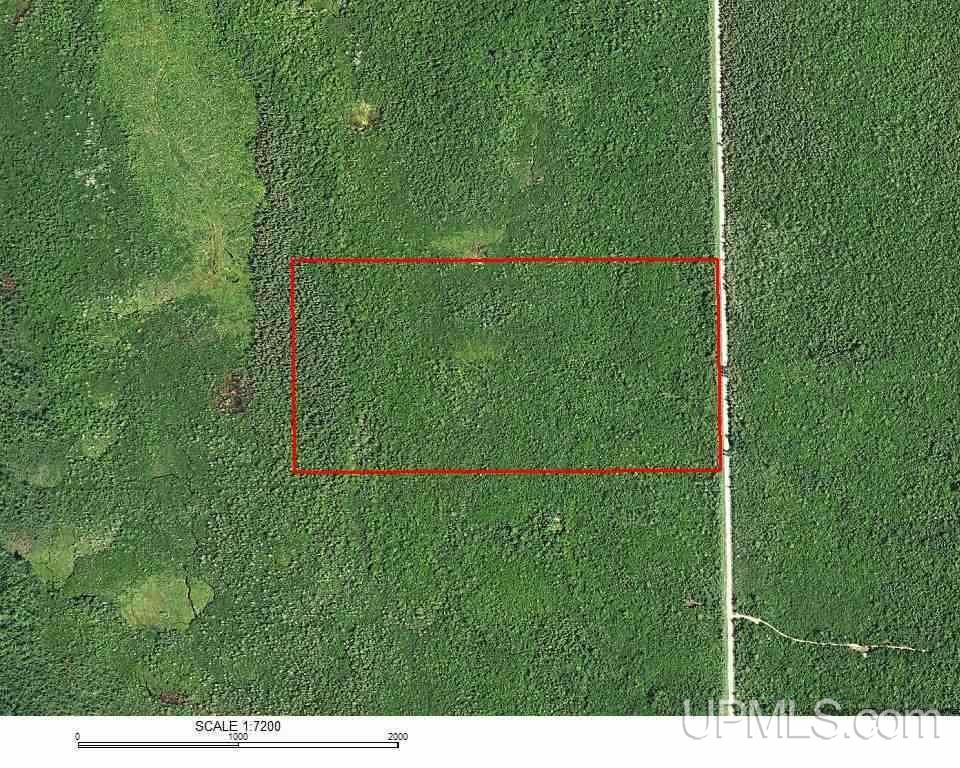 80-acres Co Rd N415 McMillan, MI 49853 - Photo 35 of 36