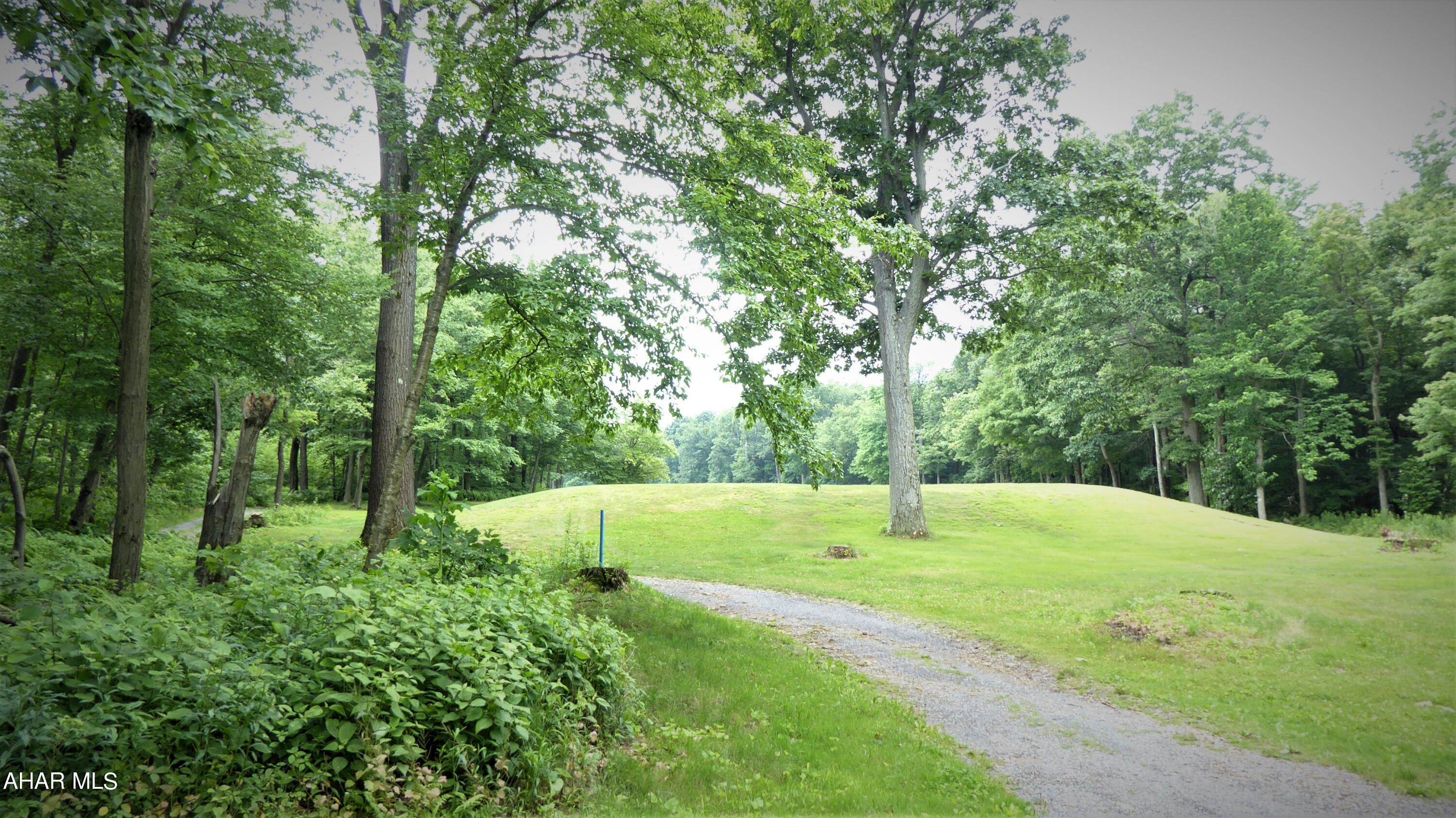 0 Ridge Run Road Claysburg, PA 16625 - Photo 12 of 24