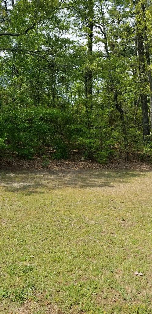 641 Butler Springs Circle Grovetown, GA 30813 - Photo 17 of 19 Gallery Image 17