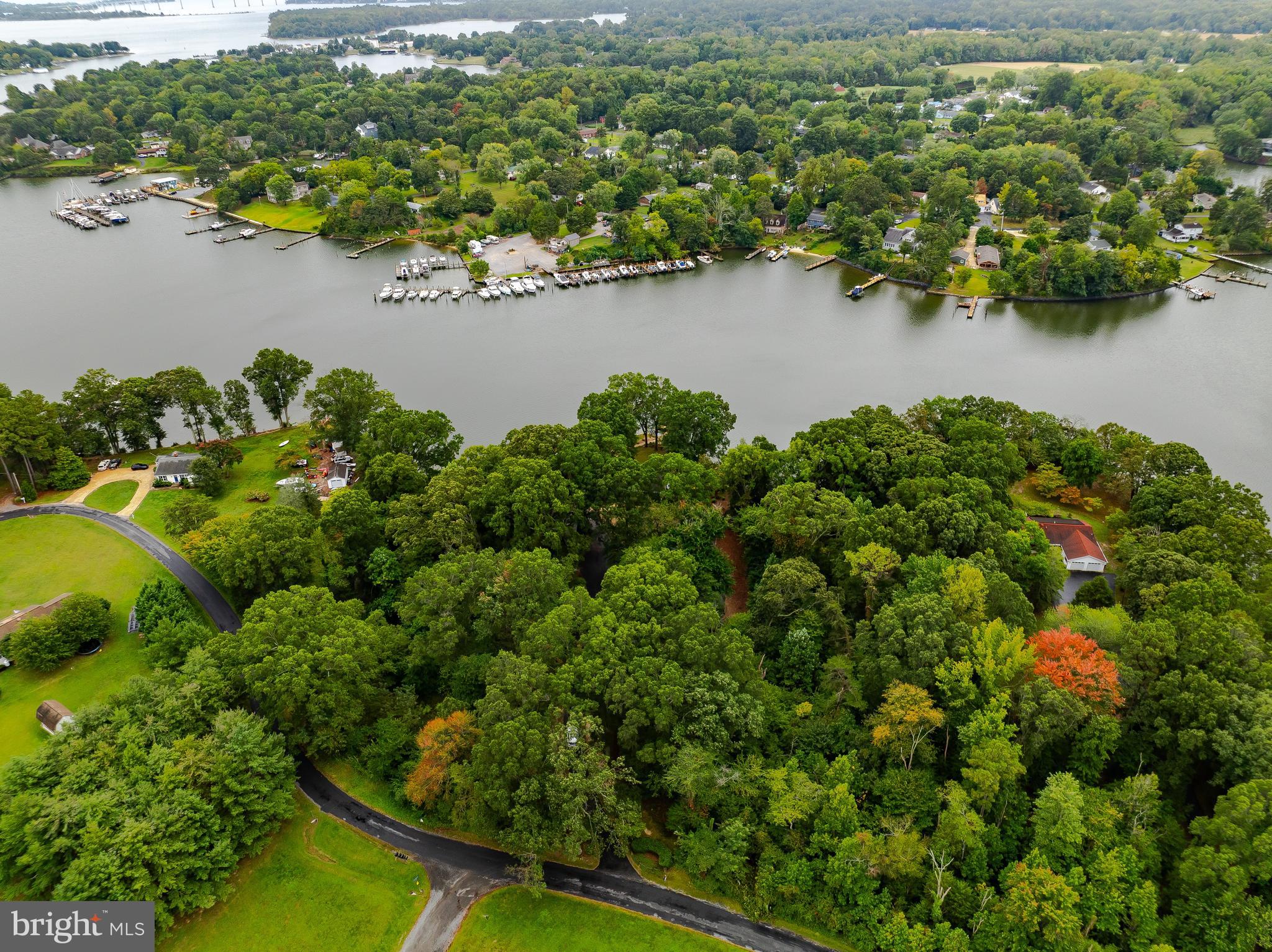 44973 Smiths Nursery Road Hollywood, MD 20636 - Photo 9 of 111