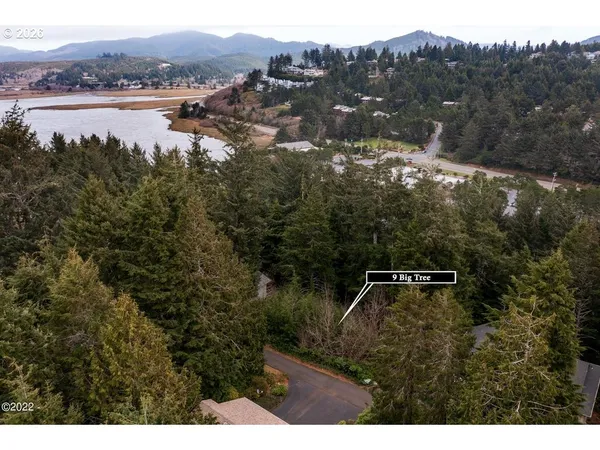 $62,500 | 9 Big Tree Road, Gleneden Beach, OR 97388