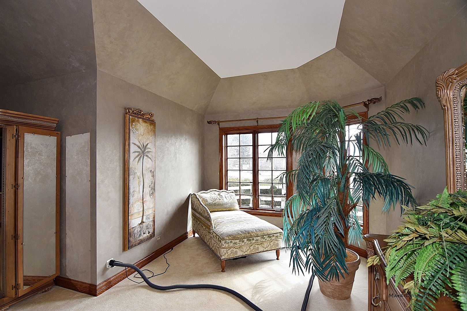 36W623 Lancaster Road St. Charles, IL 60175 - Photo 13 of 20 a living room with furniture and a potted plant