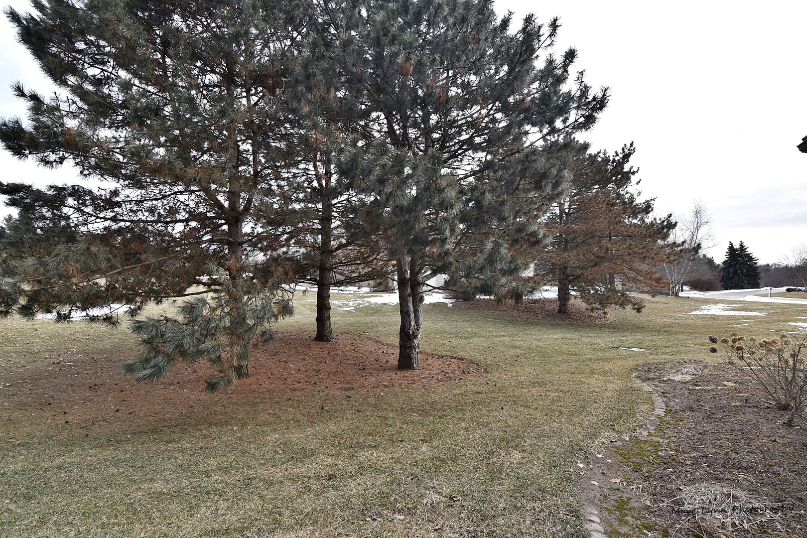 36W623 Lancaster Road St. Charles, IL 60175 - Photo 20 of 20 a view of outdoor space with lots of trees