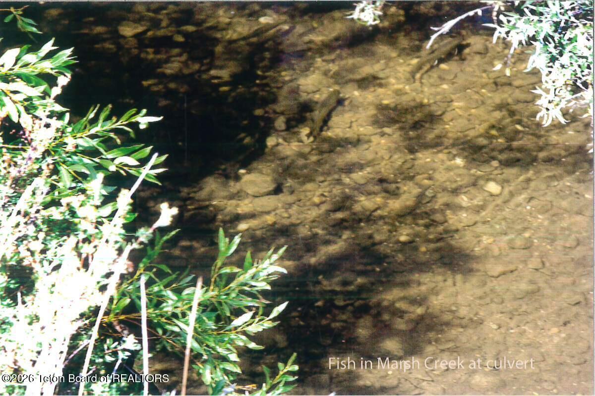 41 Marsh Creek Road Cora, WY 82925 - Photo 44 of 53 Trout