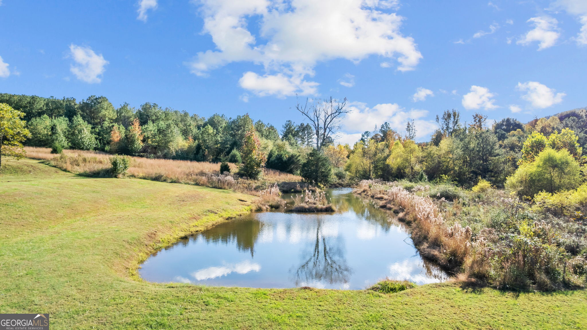 8876 Cave Springs Road Cave Spring, GA 30124 - Photo 30 of 36 a view of a lake with houses