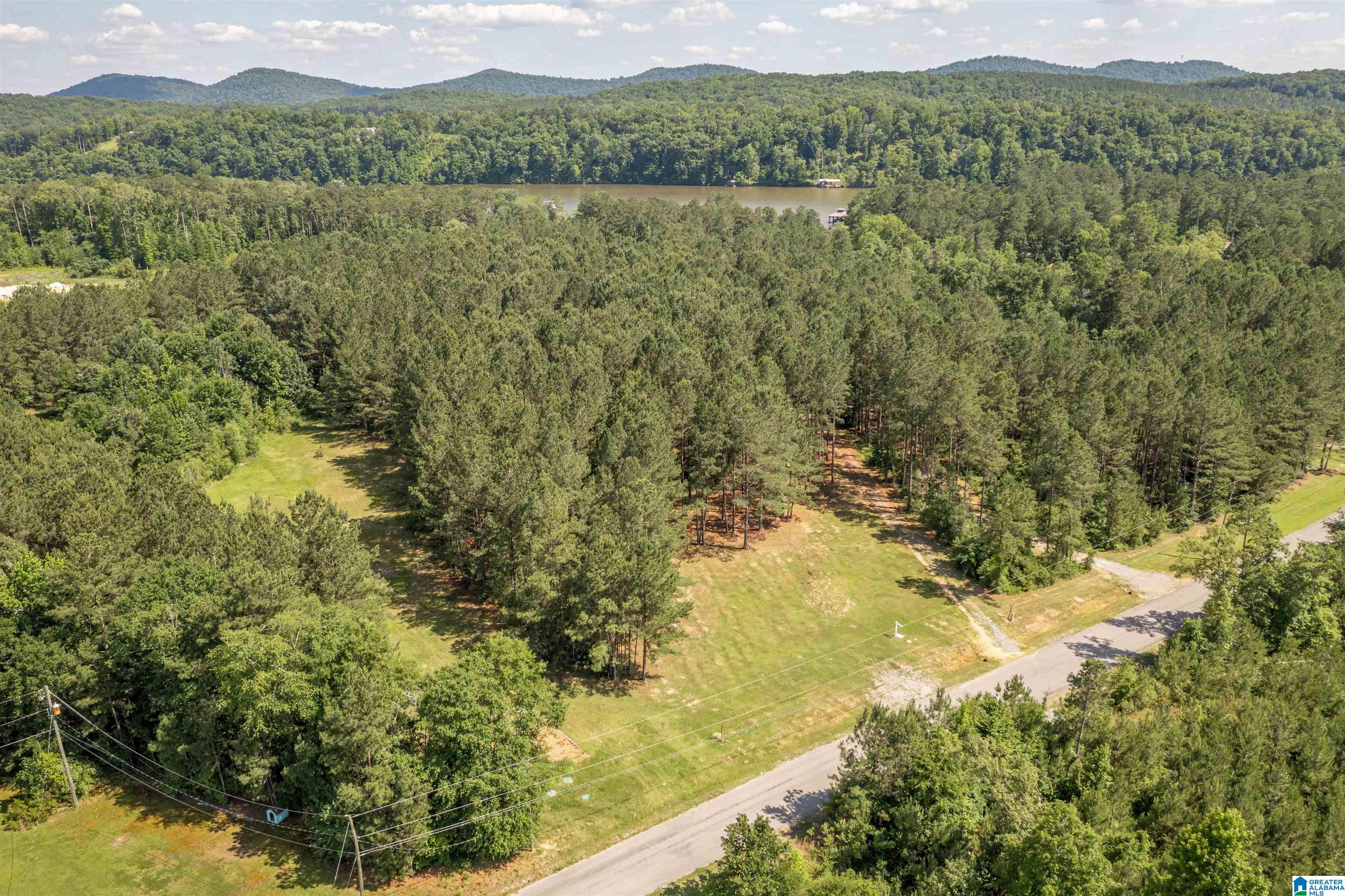 89 Golden Pond Road, Unit 9 Ashville, AL 35953 - Photo 6 of 35