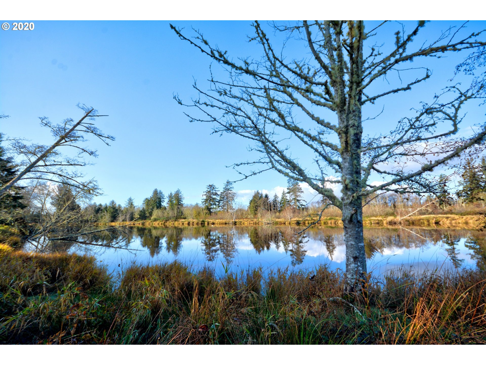 Mccormick Garden Road Gearhart, OR 97138 - Photo 1 of 19 Gallery Image 1